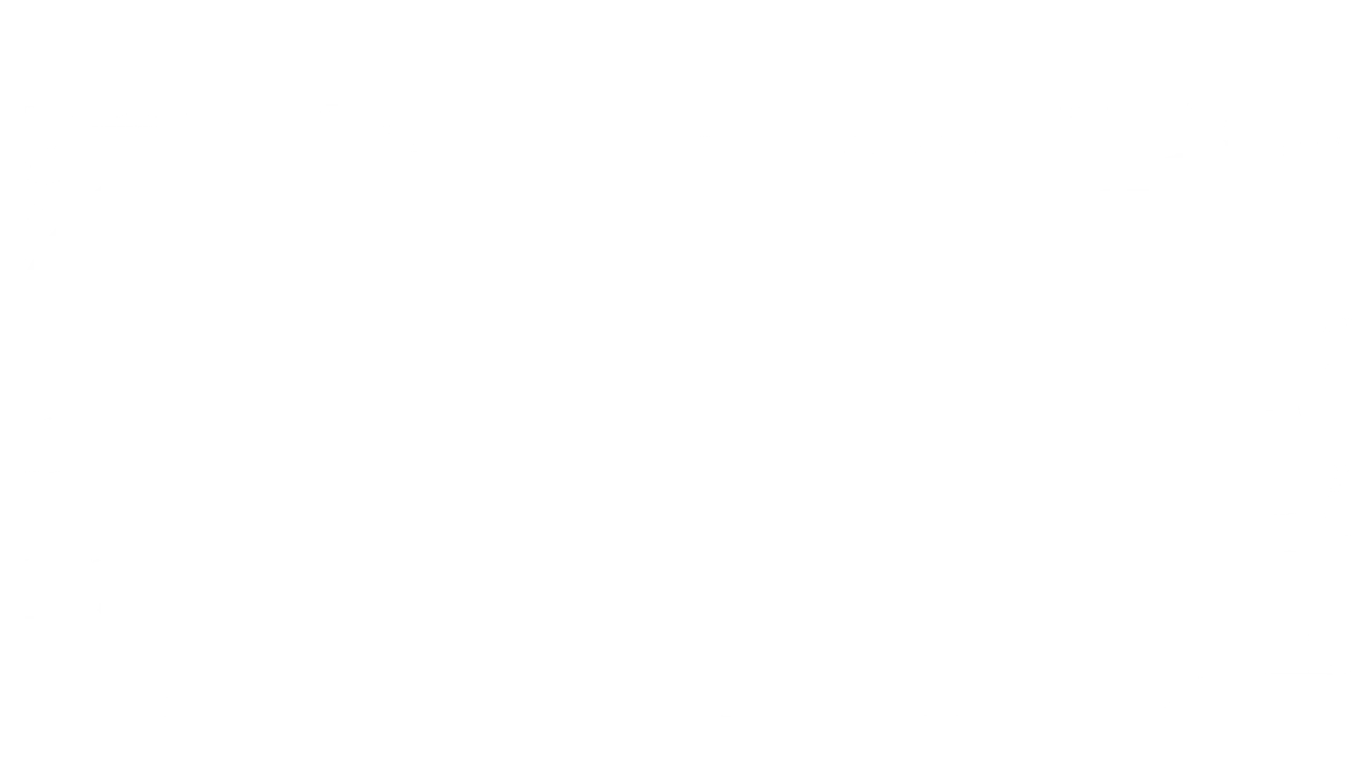 Dragon Lady schematic overlay